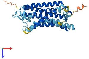 AlphaFold protein structure predicition of Human Recombinant OR2H1 Protein, UniprotID Q9GZK4