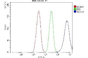 Flow Cytometry analysis of HepG2 cells using anti-FACL4/ACSL4 antibody (ABIN7602756). (ACSL4 anticorps  (C-Term))
