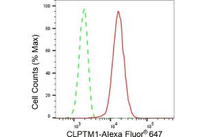 Flow cytometric analysis of CLPTM1 expression in HT- cells using CLPTM1 antibody (ABIN7798098), 1:2,000). (Recombinant CLPTM1 anticorps)