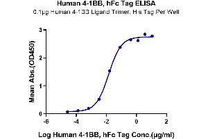 Immobilized Human 4-1BB Ligand Trimer, His Tag at 1 μg/mL (100 μL/Well) on the plate.