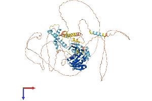 AlphaFold protein structure predicition of Mouse Recombinant Tgs1 Protein, UniprotID Q923W1