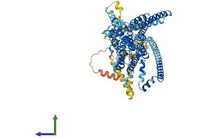 AlphaFold protein structure predicition of Mouse Recombinant Tmc4 Protein, UniprotID Q7TQ65