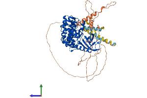 AlphaFold protein structure predicition of Human Recombinant SRPK1 Protein, UniprotID Q96SB4