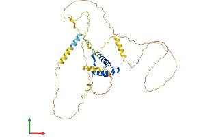 AlphaFold protein structure predicition of Mouse Recombinant Nkx2-3 Protein, UniprotID P97334