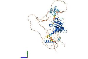 AlphaFold protein structure predicition of Mouse Recombinant Tp73 Protein, UniprotID Q9JJP2