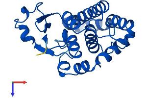 AlphaFold protein structure predicition of Mouse Recombinant Gstp2 Protein, UniprotID P46425