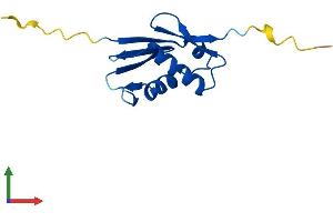 AlphaFold protein structure predicition of Human Recombinant RPL22L1 Protein, UniprotID Q6P5R6