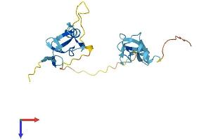 AlphaFold protein structure predicition of Mouse Recombinant Csrp3 Protein, UniprotID P50462