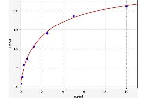 Typical standard curve (SERPINA11 Kit ELISA)