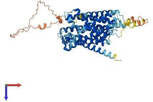 AlphaFold protein structure predicition of Mouse Recombinant Slc38a2 Protein, UniprotID Q8CFE6
