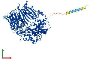 AlphaFold protein structure predicition of Mouse Recombinant Fap Protein, UniprotID P97321