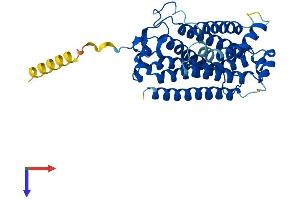 AlphaFold protein structure predicition of Mouse Recombinant Paqr7 Protein, UniprotID Q80ZE4