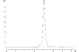 The purity of Cynomolgus TREM1 is greater than 95 % as determined by SEC-HPLC.