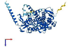 AlphaFold protein structure predicition of Mouse Recombinant Cyp46a1 Protein, UniprotID Q9WVK8