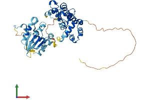 AlphaFold protein structure predicition of Mouse Recombinant Arhgap8 Protein, UniprotID Q9CXP4