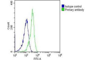 Overlay histogram showing HL-60 cells stained with B(green line).