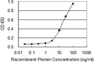 Detection limit for recombinant GST tagged MSRA is 1 ng/ml as a capture antibody.