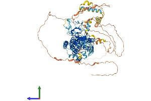 AlphaFold protein structure predicition of Human Recombinant RHBDF2 Protein, UniprotID Q6PJF5
