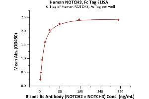 Immobilized Human NOTCH3, Fc Tag (ABIN6992329) at 1 μg/mL (100 μL/well) can bind Bispecific Antibody (NOTCH2 x NOTCH3) with a linear range of 2-20 ng/mL (QC tested).