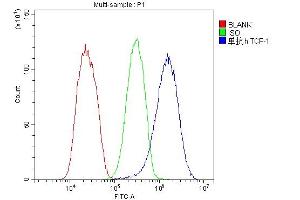 Flow Cytometry analysis of HepG2 cells using anti-TCP1 alpha antibody (ABIN5693078). (TCP1 alpha/CCTA anticorps  (C-Term))