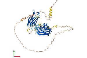 AlphaFold protein structure predicition of Human Recombinant SYT17 Protein, UniprotID Q9BSW7