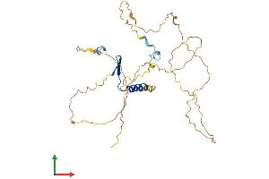 AlphaFold protein structure predicition of Human Recombinant VGLL3 Protein, UniprotID A8MV65