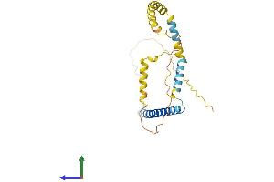AlphaFold protein structure predicition of Mouse Recombinant Tpd52l2 Protein, UniprotID Q9CYZ2