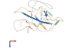 AlphaFold protein structure predicition of Human Recombinant ATF6 Protein, UniprotID P18850