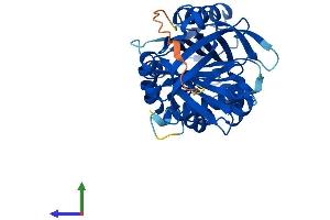 AlphaFold protein structure predicition of Mouse Recombinant Serpinb8 Protein, UniprotID O08800