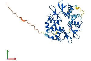 AlphaFold protein structure predicition of Human Recombinant PRKAG1 Protein, UniprotID P54619