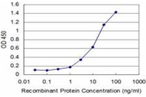 Detection limit for recombinant GST tagged FGF8 is approximately 0. (FGF8 anticorps  (AA 65-133))