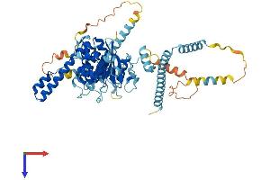 AlphaFold protein structure predicition of Human Recombinant PES1 Protein, UniprotID O00541