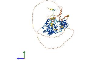 AlphaFold protein structure predicition of Human Recombinant PAK4 Protein, UniprotID O96013
