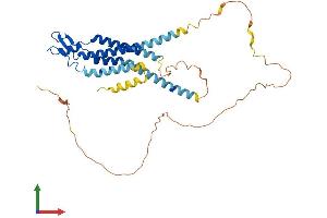 AlphaFold protein structure predicition of Mouse Recombinant Gja5 Protein, UniprotID Q01231