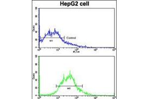 Flow cytometric analysis of HepG2 cells using ADAM9 Antibody (bottom histogram) compared to a negative control cell (top histogram).