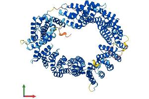 AlphaFold protein structure predicition of Human Recombinant IPO13 Protein, UniprotID O94829