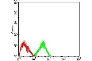 Flow cytometric analysis of HepG2 cells using CD2 mouse mAb (green) and negative control (red).