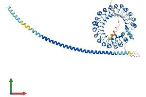 AlphaFold protein structure predicition of Human Recombinant FBXL13 Protein, UniprotID Q8NEE6