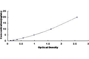 Typical Standard Curve for Human SOD4 ELISA. (SOD4 Kit ELISA)