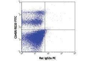 Flow Cytometry (FACS) image for anti-Fms-Related tyrosine Kinase 3 (FLT3) antibody (PE) (ABIN2663014)