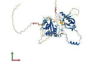 AlphaFold protein structure predicition of Human Recombinant M1AP Protein, UniprotID Q8TC57