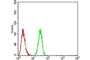 Flow cytometric analysis of HeLa cells using Rab3a mouse mAb (green) and negative control (red).