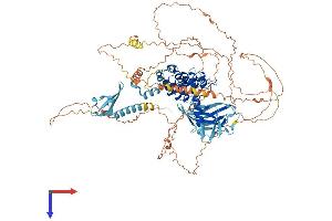 AlphaFold protein structure predicition of Mouse Recombinant Mphosph8 Protein, UniprotID Q3TYA6