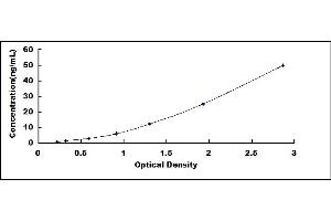 Typical standard curve