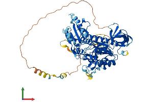 AlphaFold protein structure predicition of Human Recombinant CDK5RAP1 Protein, UniprotID Q96SZ6