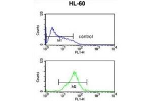 Flow Cytometry (FACS) image for anti-Nucleotide-Binding Oligomerization Domain Containing 1 (NOD1) antibody (ABIN3003884)
