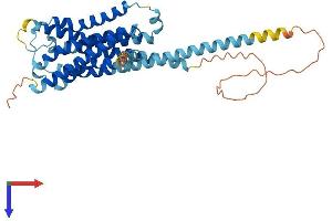 AlphaFold protein structure predicition of Mouse Recombinant Hrh4 Protein, UniprotID Q91ZY2