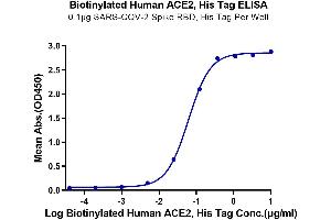 Immobilized SARS-COV-2 Spike RBD, His Tag at 1 μg/mL (100 μL/well) on the plate.