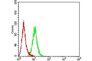 anti-TNFRSF1A-Associated Via Death Domain (TRADD) (AA 1-177) antibody