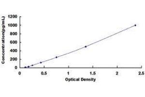 ELISA image for Renin (REN) ELISA Kit (ABIN416012)